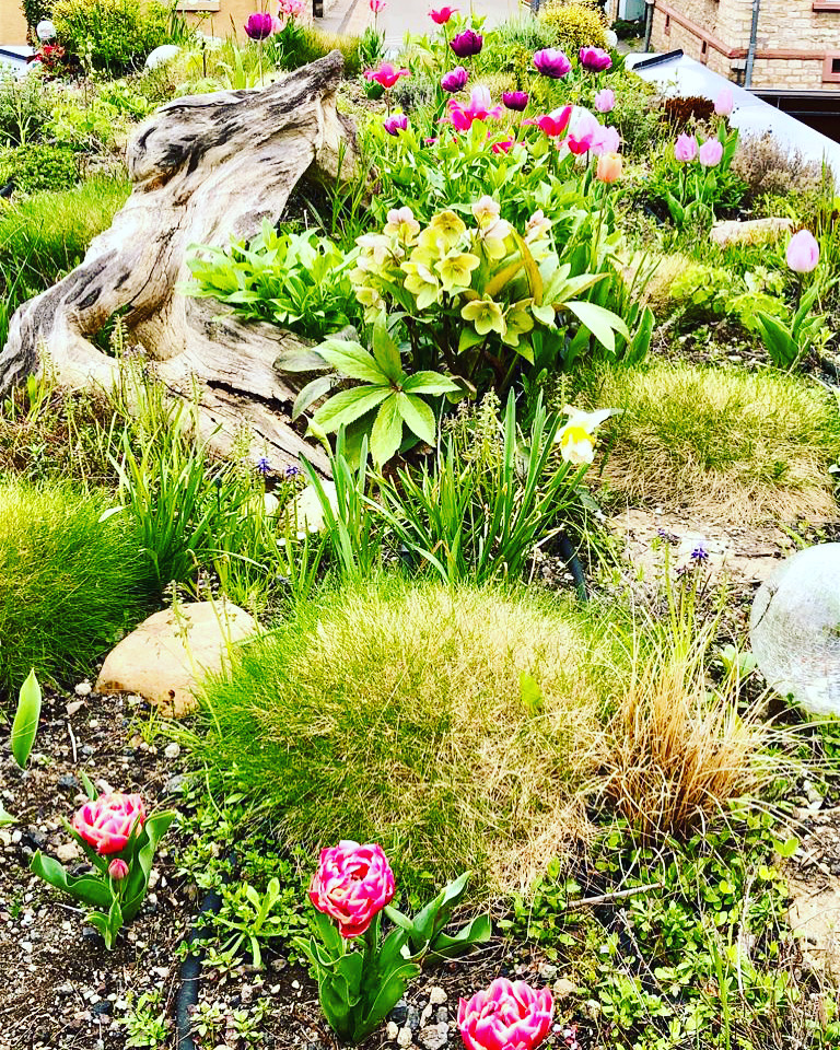 Dachgarten