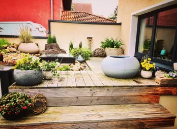 Begrünter Dachgarten der Ferienwohnung